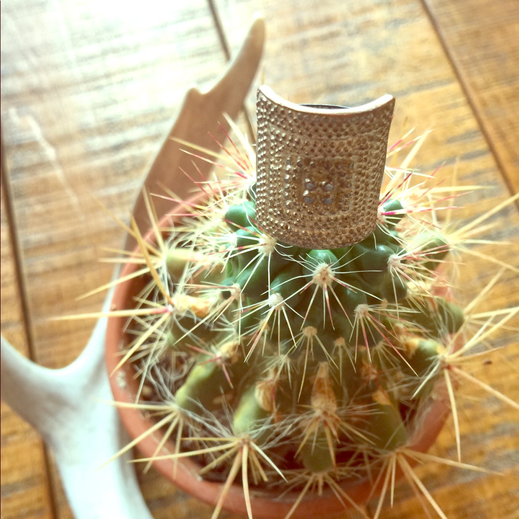 Geometric Statement Ring